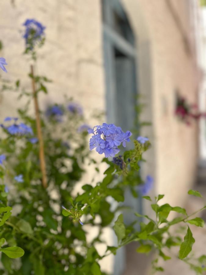 Bianco Calce - Ostuni Villa Buitenkant foto